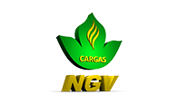 Cargas