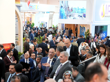 Exhibition EGYPES 2026