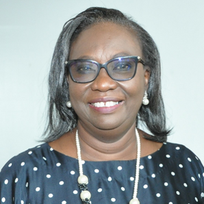 Her Excellency
Dr Aissatou Sophie Gladima 