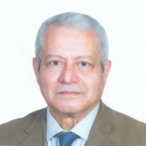 Mohamed El Shaer
