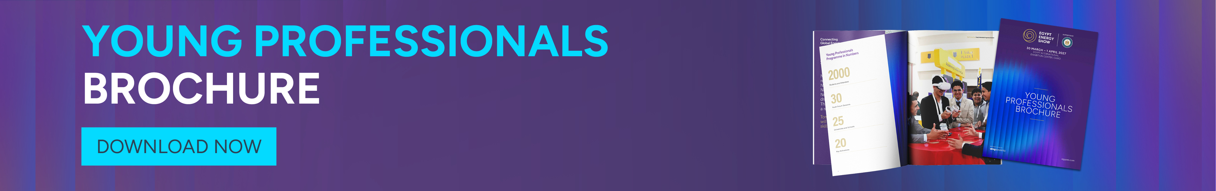 EES2027 Download Banner 1903X300