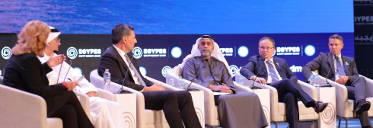 EGYPES Conference (1)