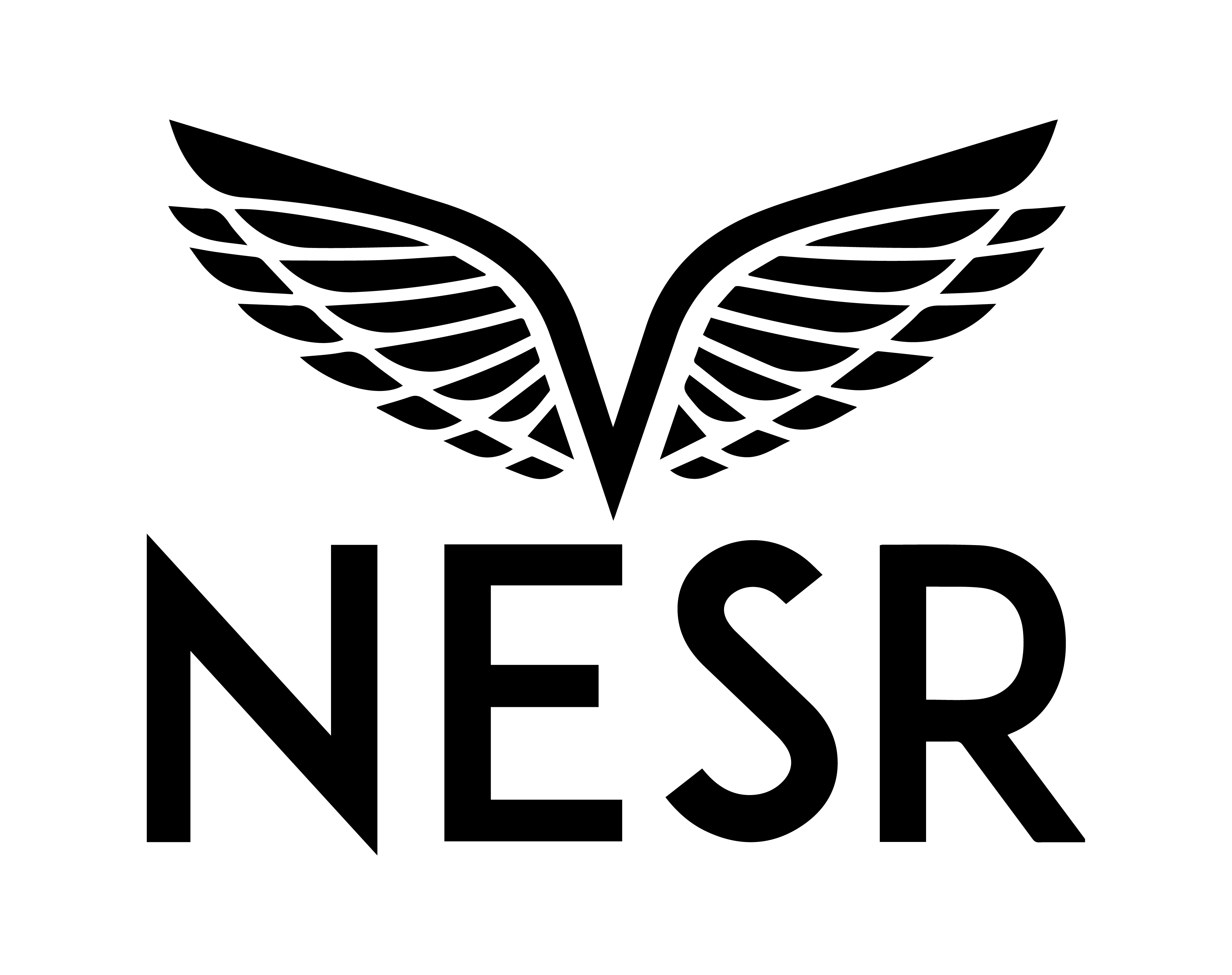 Nesr (1)