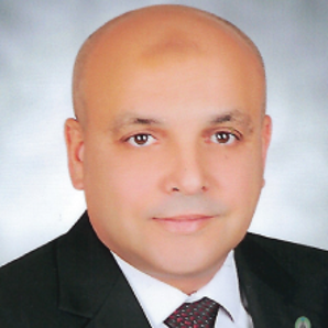 Dr Eng Nael Darwish
