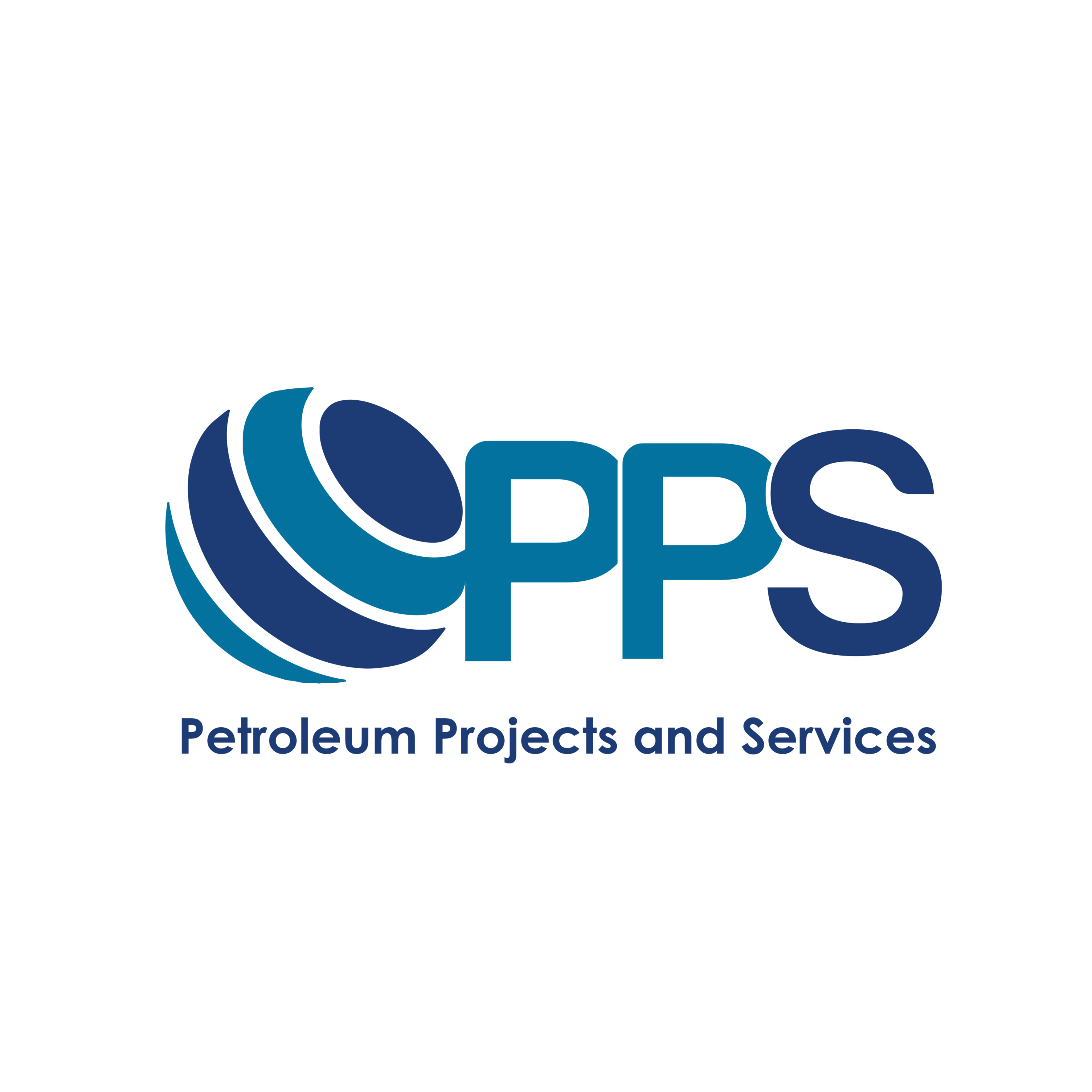 Petroleum Projects & Services