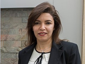 Wafaa Tantawy
