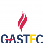 The Egyptian International Gas Technology