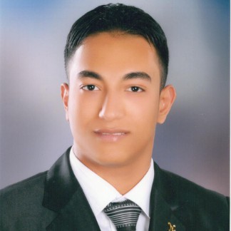 Mohammed Amir El Hawary